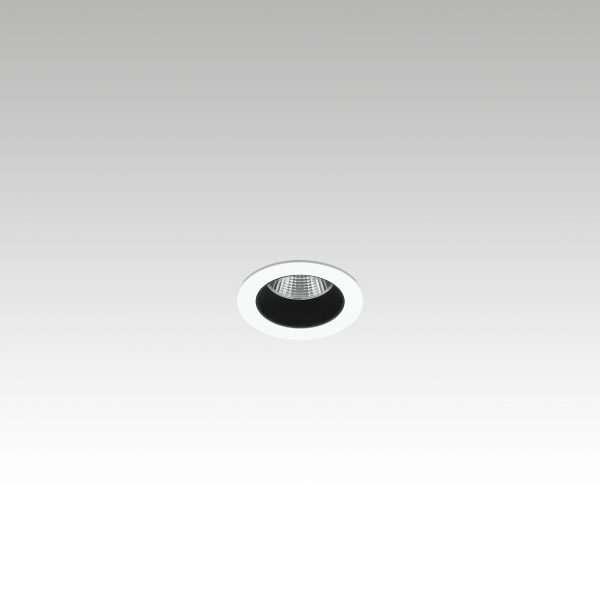 Rogue Ø35