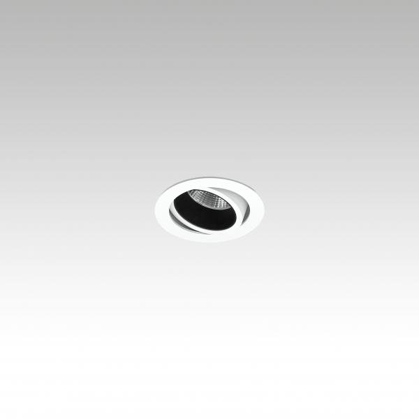 Rogue Ø45